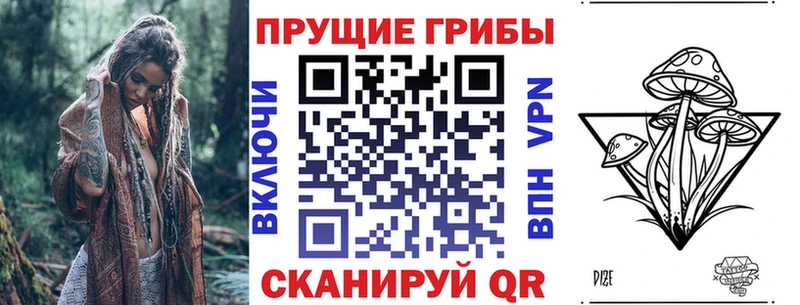 Галлюциногенные грибы Psilocybe  Заводоуковск 