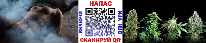 Бошки Шишки индика  MEGA как зайти  Заводоуковск 